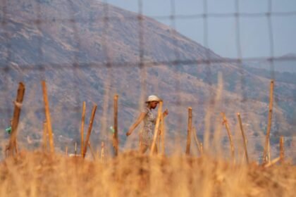 Trump Deports Five Men to New "Third Country" of Eswatini