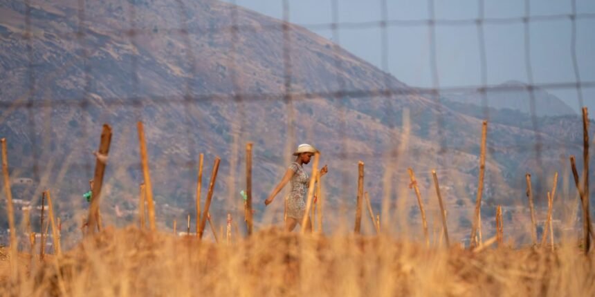 Trump Deports Five Men to New "Third Country" of Eswatini