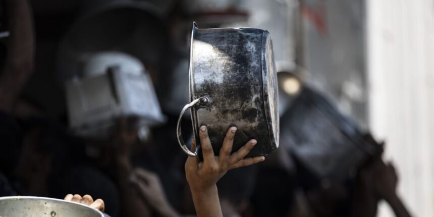 My Hunger Diary in Gaza