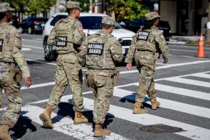 Trump Fabricates Story of Hand-to-Hand Combat Between Troops, Child Gangsters in D.C.