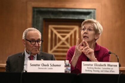 Senate Progressives Don’t Criticize Schumer’s ICE Compromise