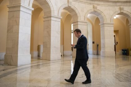 Four Democrats Could Give Trump Domestic Spying Power