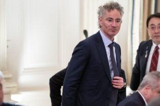 Palantir Is Helping Trump’s IRS Conduct “Massive-Scale” Data Mining