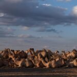 The Cancer Epidemic Left Behind After a U.S. Oil Mission in Kenya