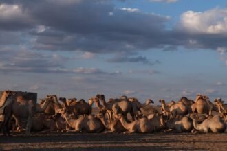 The Cancer Epidemic Left Behind After a U.S. Oil Mission in Kenya