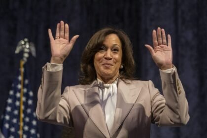 DNC Autopsy Doesn’t Mention Gaza or Israel At All