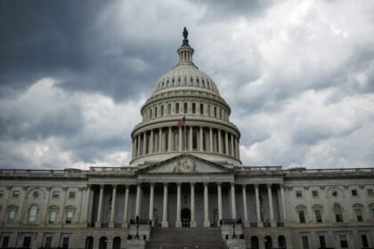 Online Age Verification Law Could Kill Whistleblowing