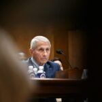 A Broken Healthcare System, Not Fauci’s Diary, Is Why Covid Ravaged the U.S.
